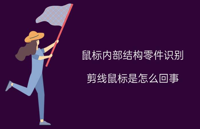 鼠标内部结构零件识别 剪线鼠标是怎么回事？